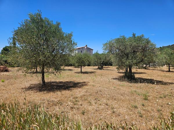 Terrain magnifique, plat et constructible de 1225 m2 sur Tavernes.