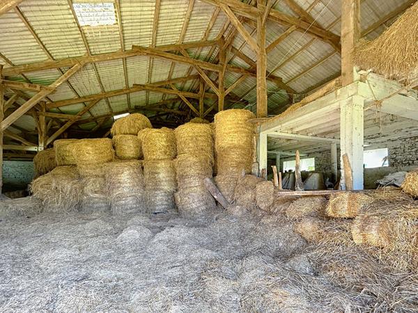 Corps de ferme avec Maison d'habitation à Vendre, Vayrac, 185 m2 habitable, Grange, Séchoirs, dépendance, Porcherie, Terrain de plus de 10 Hectares, Calme absolu.