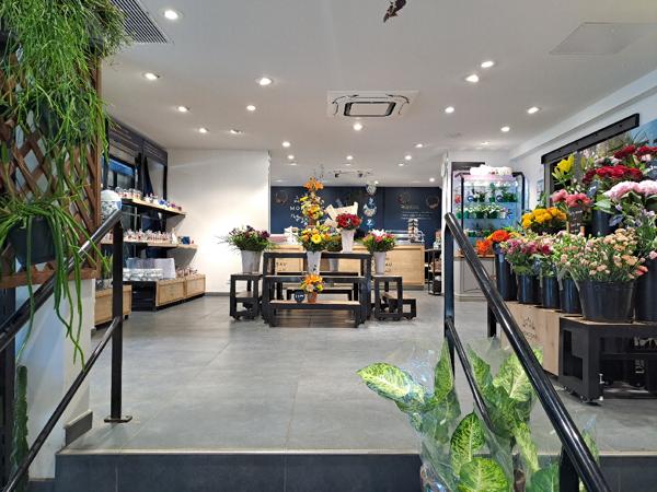 Fonds De Commerce - 246 m² Exclusivité