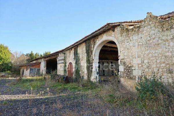 Un domaine n'appartient jamais tout à fait à ceux qui l'habitent, il se transmet - Bors (16)