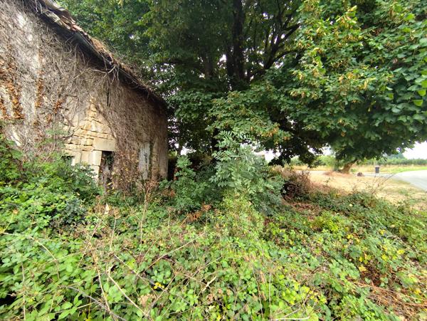 Maison 1 pièce - 100 m²