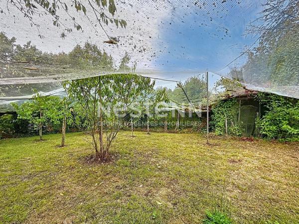 Maison en pierre avec jardin