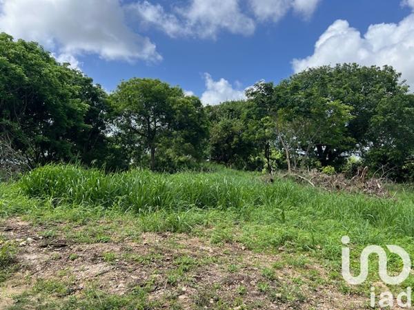 Terrain à vendre 5 950 m² Petit-Canal