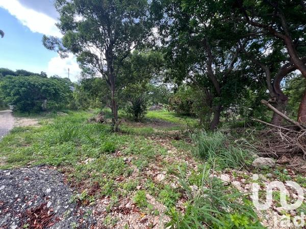 Terrain à vendre 5 950 m² Petit-Canal