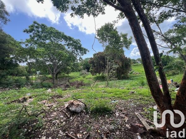 Terrain à vendre 5 950 m² Petit-Canal