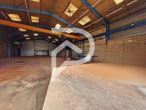 Local d'activité 875.65 m2