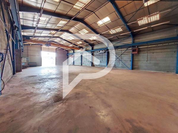 Local d'activité 875.65 m2