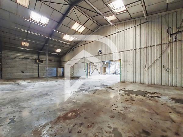 Local d'activité 875.65 m2