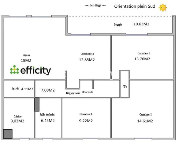 Appartement 5 pièces - 100 m² Exclusivité efficity