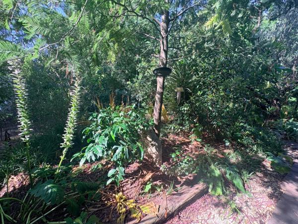Maison de plus de 150 m² avec grand jardin arboré – Enorme potentiel – Fréjus