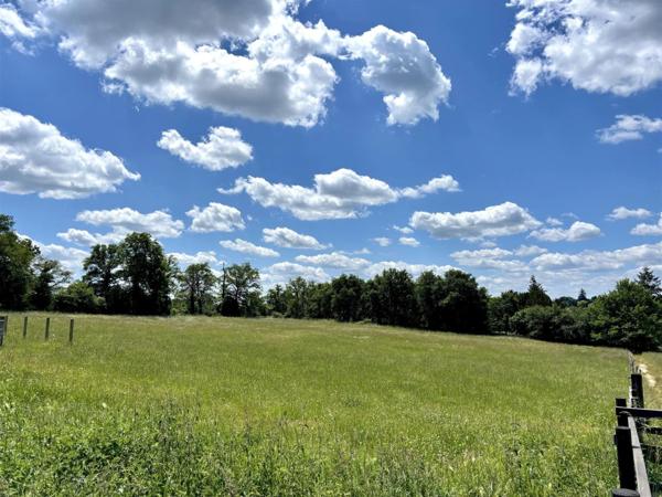 ✨ Maison d'exception 200m2+ gites 130 m2, installation equestre sur 5ha3 aux portes de Confolens (16) 695000€