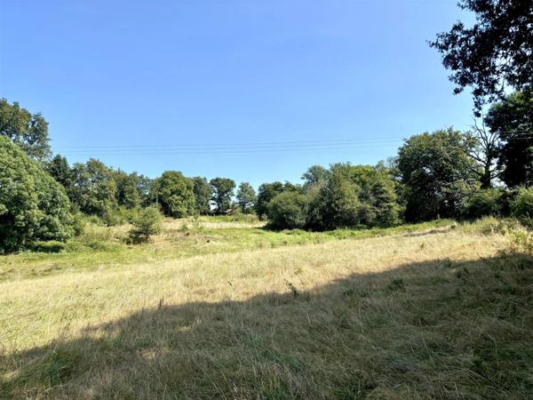 ✨ Maison d'exception 200m2+ gites 130 m2, installation equestre sur 5ha3 aux portes de Confolens (16) 695000€