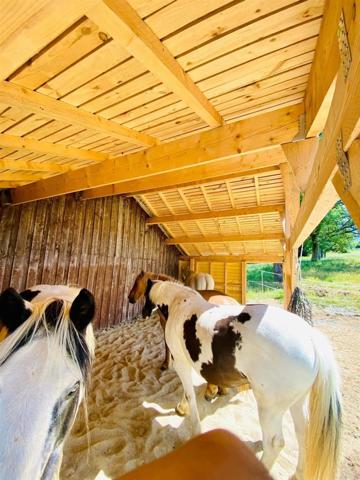 ✨ Maison d'exception 200m2+ gites 130 m2, installation equestre sur 5ha3 aux portes de Confolens (16) 695000€