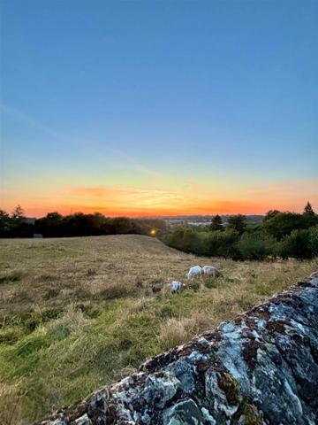 ✨ Maison d'exception 200m2+ gites 130 m2, installation equestre sur 5ha3 aux portes de Confolens (16) 695000€