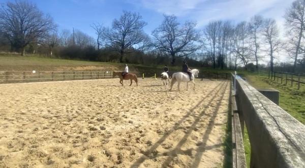 ✨ Maison d'exception 200m2+ gites 130 m2, installation equestre sur 5ha3 aux portes de Confolens (16) 695000€