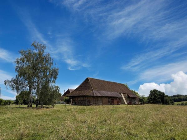 Magnifique ensemble Bressan sur 15.6ha de terrain attenant