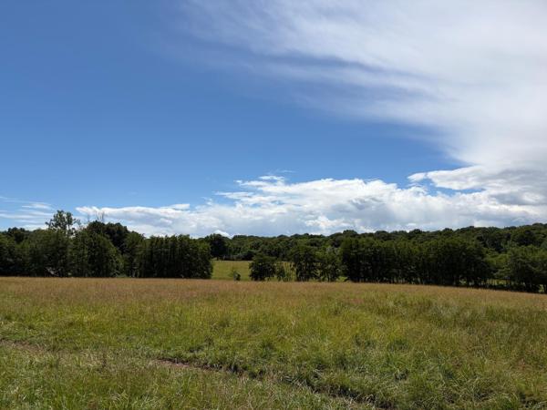Magnifique ensemble Bressan sur 15.6ha de terrain attenant