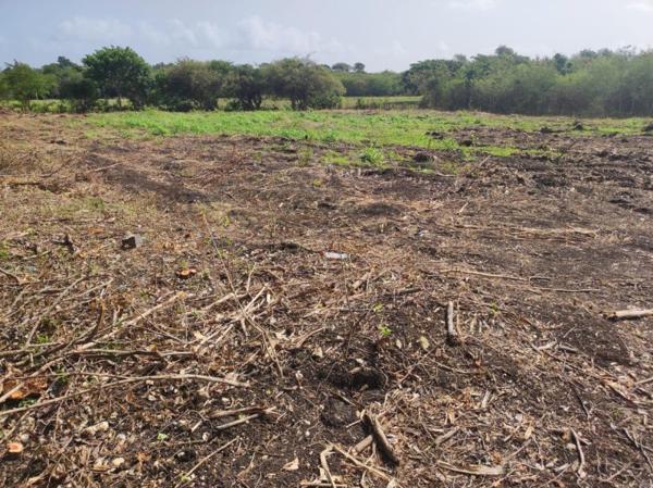 Vente / Terrain constructible