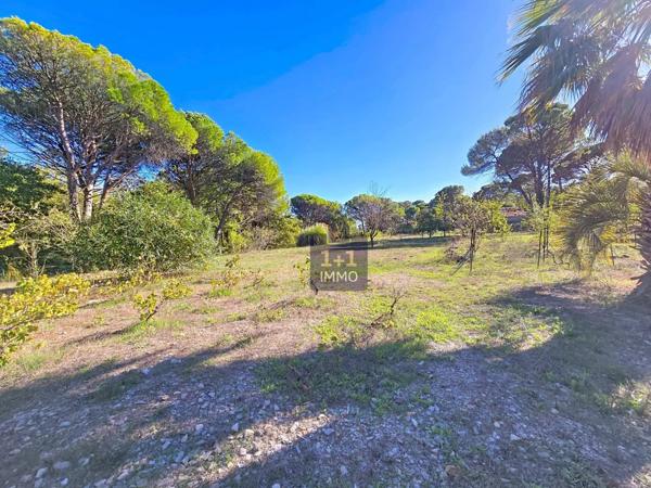 Magnifique villa avec 9400m2 de terrain