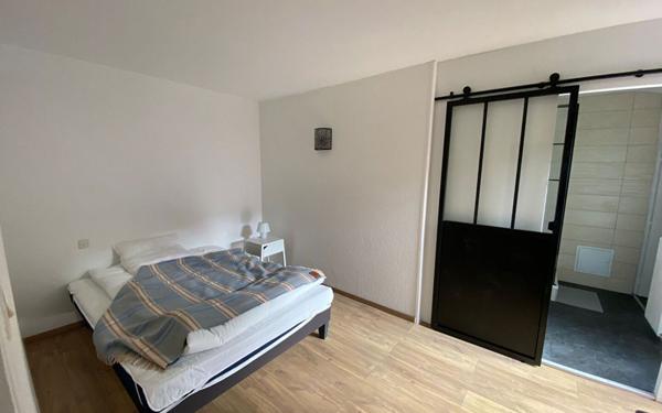 Appartement à louer    2 pièces •  Saint-Étienne