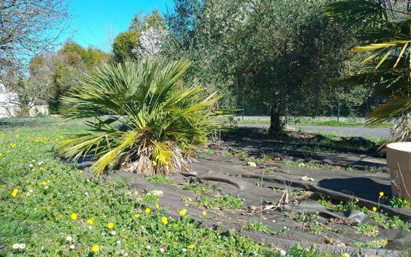 Maison à vendre    6 pièces •  Savonnières