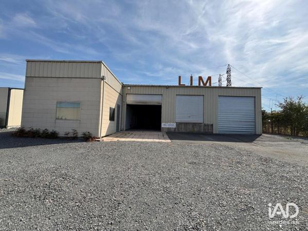 Location hangar 558 m² Doué-en-Anjou