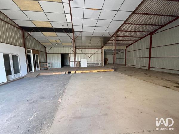 Location hangar 558 m² Doué-en-Anjou