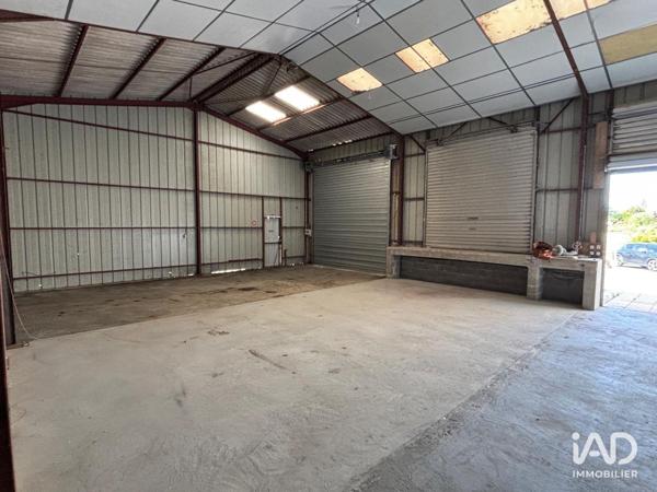 Location hangar 558 m² Doué-en-Anjou