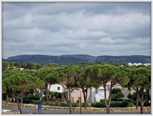 Appartement à vendre 4 pièces GRUISSAN PLAGE (11)