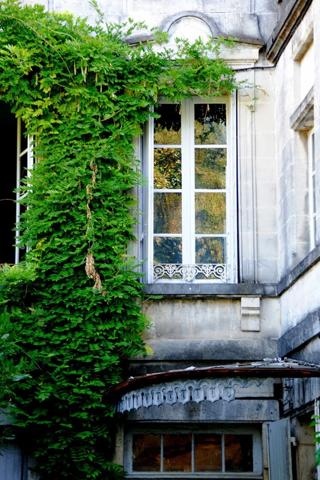 Hôtel particulier de caractère au cœur de COGNAC (16)