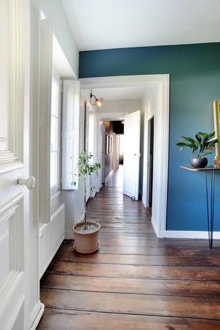 Hôtel particulier de caractère au cœur de COGNAC (16)