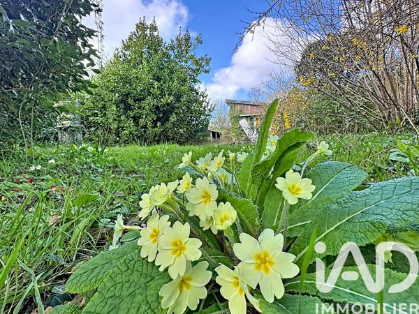 Terrain à vendre 1 624 m² Combrit