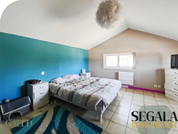 Monestiés (81640) Propriété équestre avec gîtes – 275 m² habitables – Terrain de 43 474 m²