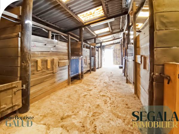 Monestiés (81640) Propriété équestre avec gîtes – 275 m² habitables – Terrain de 43 474 m²