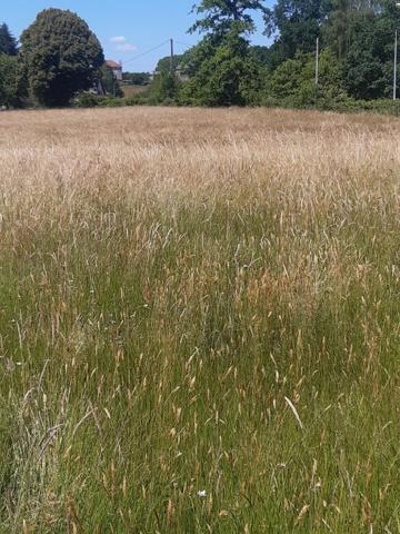 TERRAIN PLAT CONSTRUCTIBLE  3MN DU ROUGET 20 D' AURILLAC