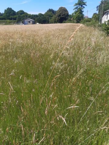 TERRAIN PLAT CONSTRUCTIBLE  3MN DU ROUGET 20 D' AURILLAC