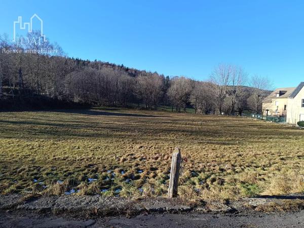 Vente Terrain 4600 m2 à Fau-de-Peyre