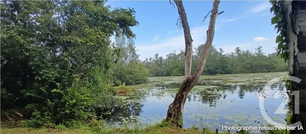 Terrain à vendre  6831 m 2   PERONNE  - 80