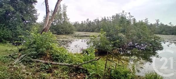Terrain à vendre  6831 m 2   PERONNE  - 80