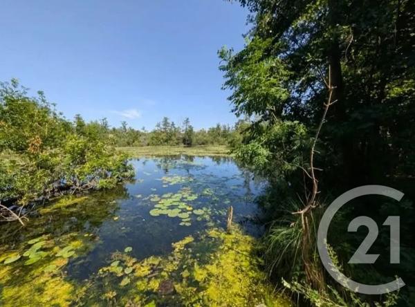 Terrain à vendre  6831 m 2   PERONNE  - 80