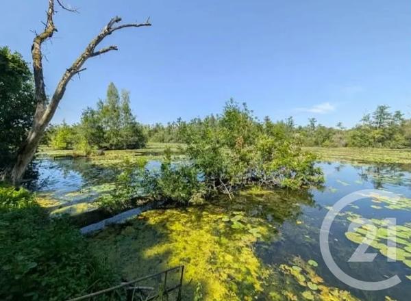 Terrain à vendre  6831 m 2   PERONNE  - 80