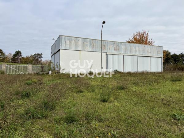 LOCAUX PROFESSIONNELS