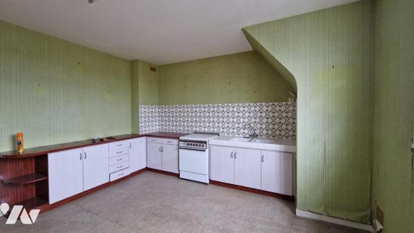 GRANDE MAISON DE 253 m² DIVISEE EN DEUX APPARTEMENTS AVEC GARAGE ET JARDIN