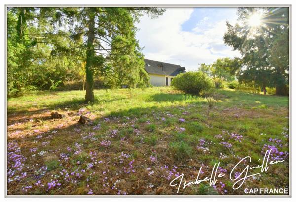 Dpt Cher (18), à vendre CULAN maison P6 de 145,2 m² - Terrain de 3 110,00 m² - Plain pied