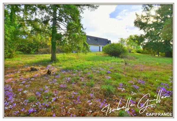 Dpt Cher (18), à vendre CULAN maison P6 de 145,2 m² - Terrain de 3 110,00 m² - Plain pied