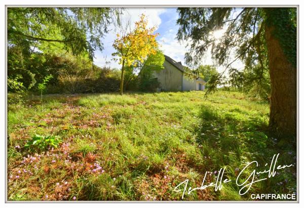 Dpt Cher (18), à vendre CULAN maison P6 de 145,2 m² - Terrain de 3 110,00 m² - Plain pied