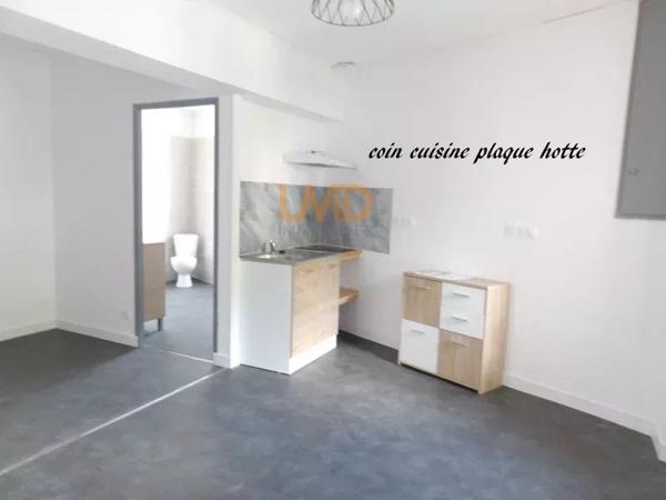 appartement t1 rénové