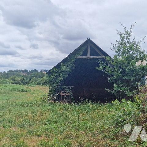 Maison à rénover comprenant une pièce de vie avec cheminée et chambre. Etable. Taillis non attenant.