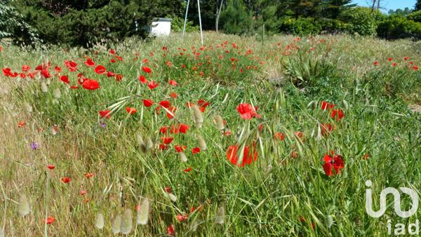 Terrain à vendre 1 000 m² Saint-Jean-de-Monts