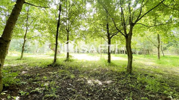 Terrain de loisir de +5700 m² en bord du Lay